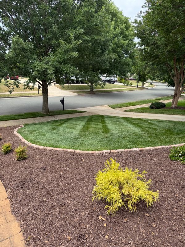 Mulching