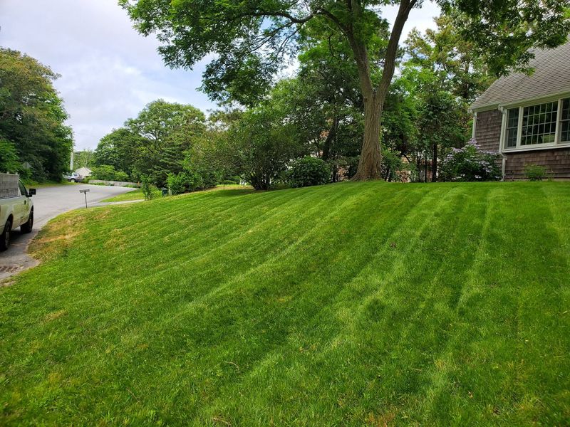 Lawn Maintenance