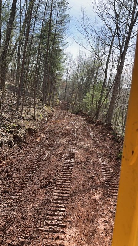 Land Clearing