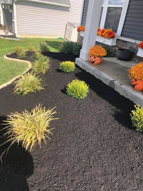 Forestry Mulching