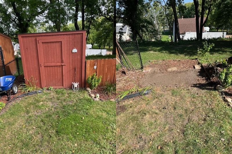 Shed and Deck Removal