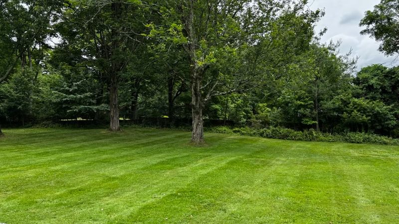 Lawn Maintenance