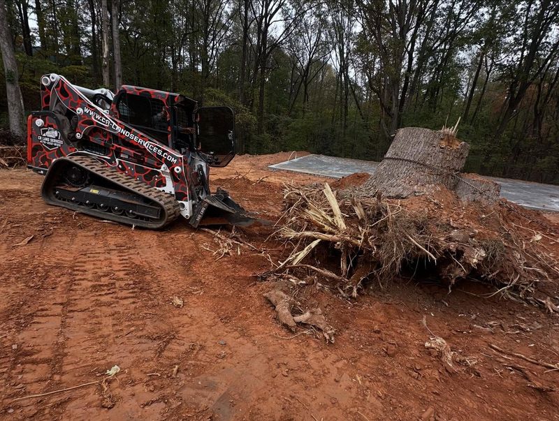 Land Clearing Photos