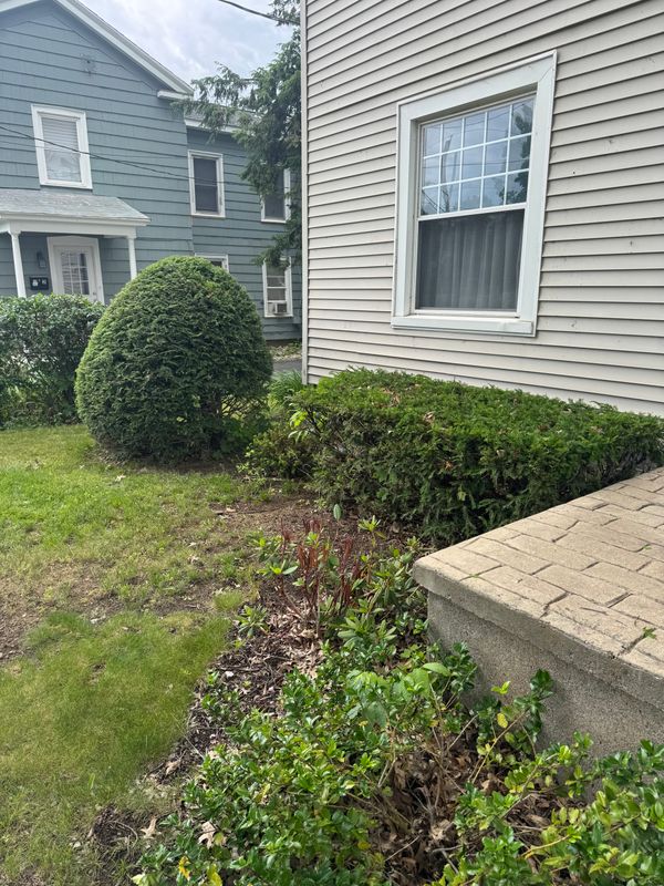 Lawn Maintenance