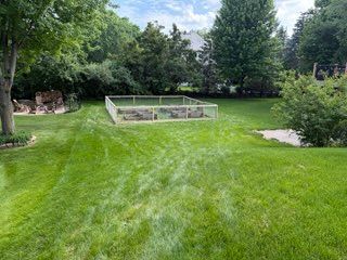 Lawn Care & Maintenance