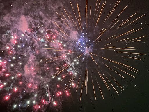 Gender Reveal Firework Displays / Show