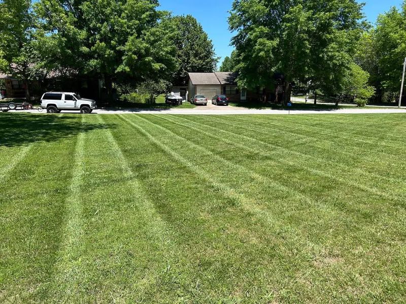 Lawn Mowing