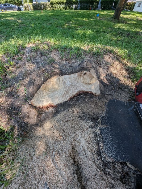 Stump Removal