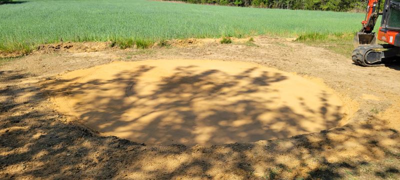 Stump Grinding and Removal