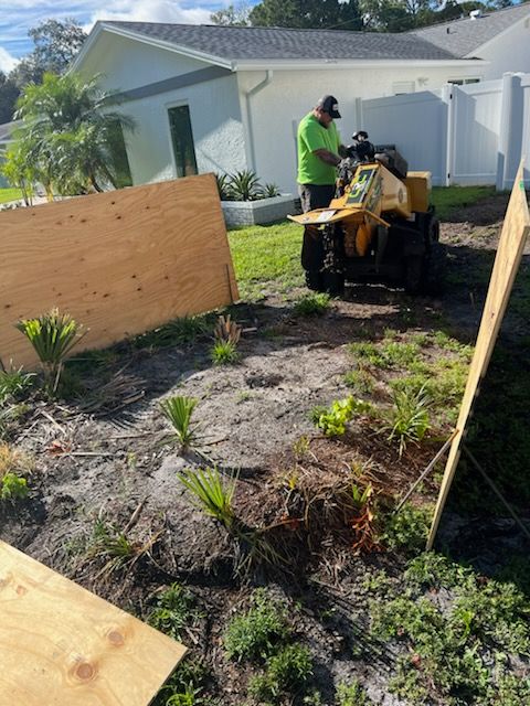 Tree Stump Removal