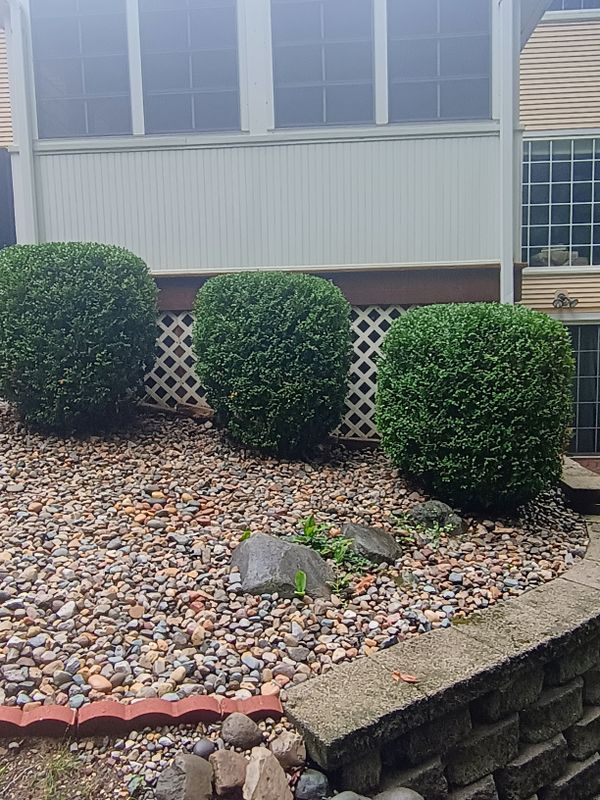 Landscape Design