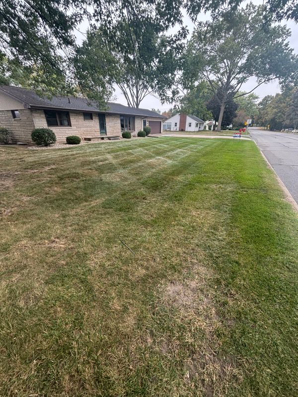Spring Cleanup