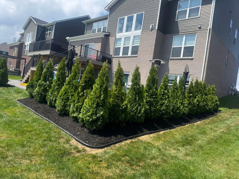 Mulch Installation