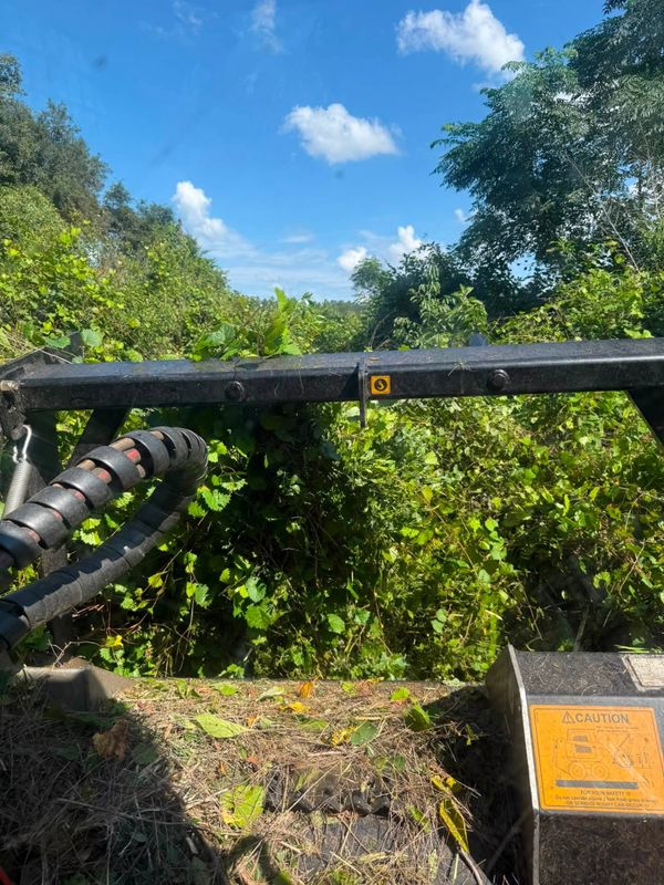 Land Clearing