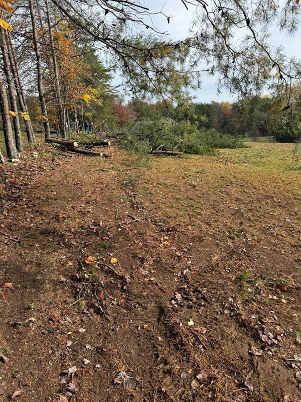 Land Clearing And Site Preparation