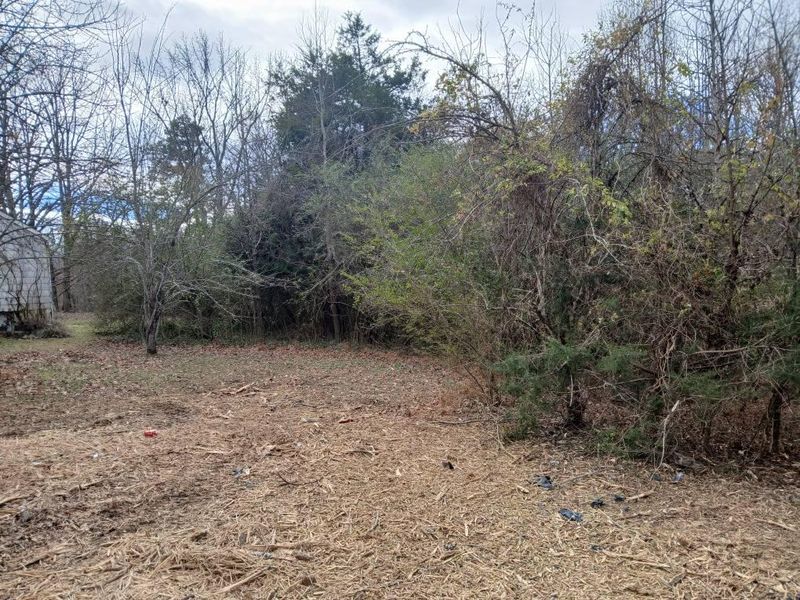 Forestry Mulching