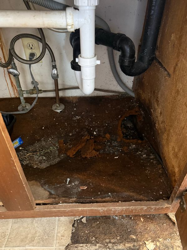 Mold Remediation