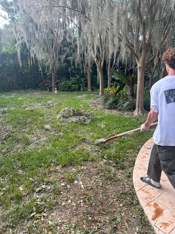 Lawn Care and Maintenance