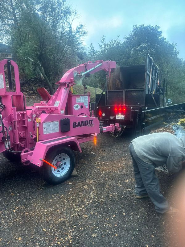 Property Clean Up
