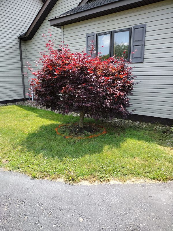 Landscaping