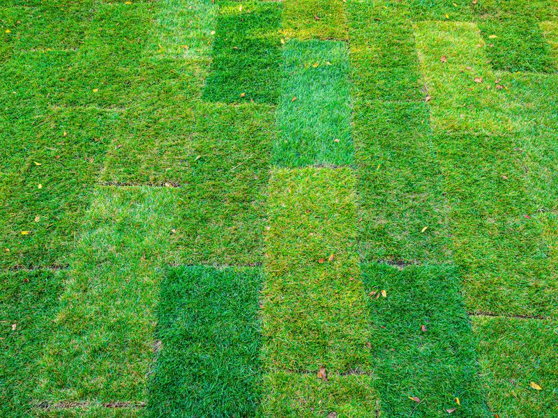 Lawn Mowing