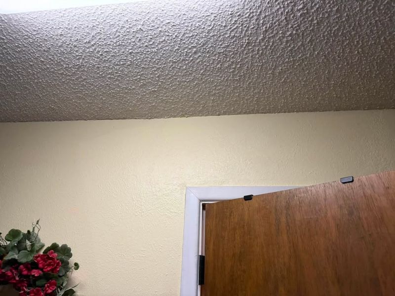 Drywall and Plastering