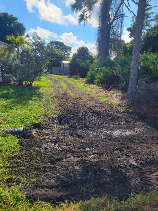 Lawn Maintenance