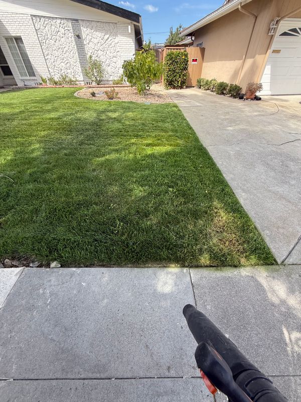 Landscaping