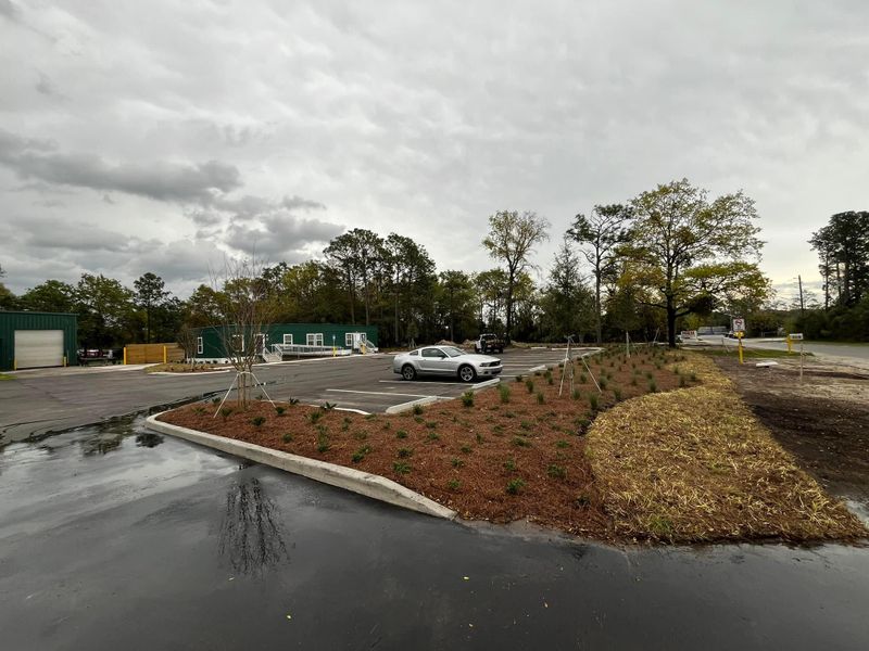 Commercial Landscape & Maintenance