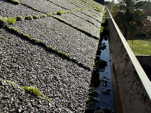 Roof Cleaning