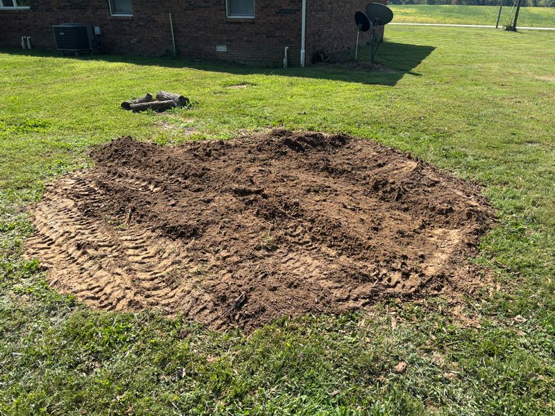 Stump Removal