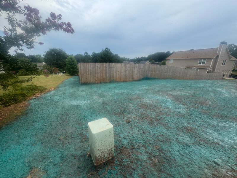 Hydroseeding gallery