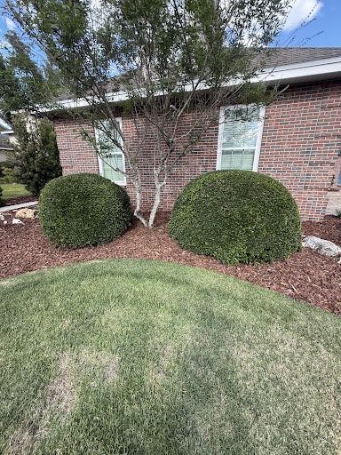 Landscape & Property Cleanup