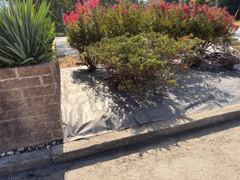Shrub and Plant Trimming