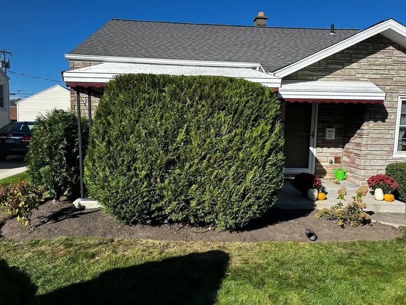 Landscape Maintenance