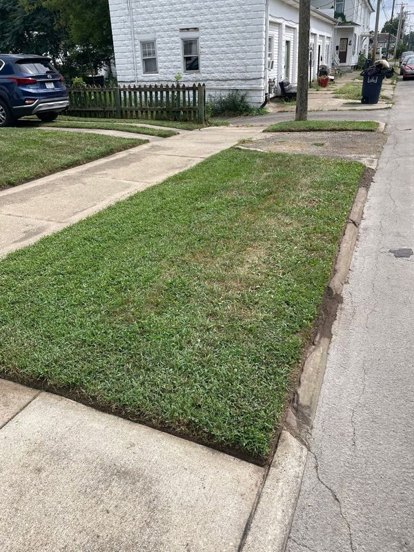 Lawn Maintenance