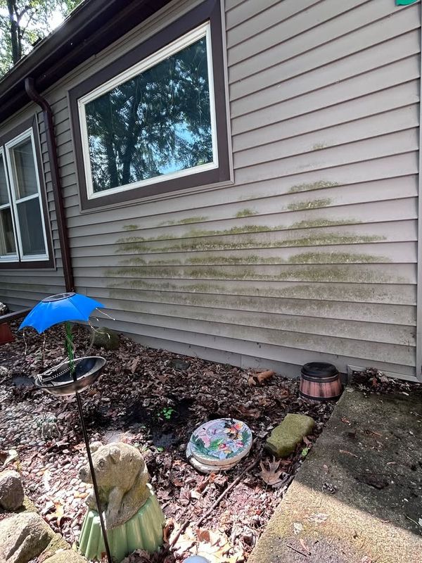 Pressure Washing