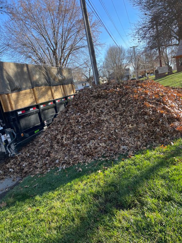 Spring and Fall Clean-Ups