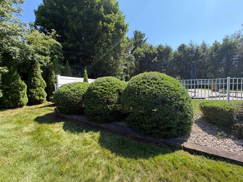 Lawn Maintenance