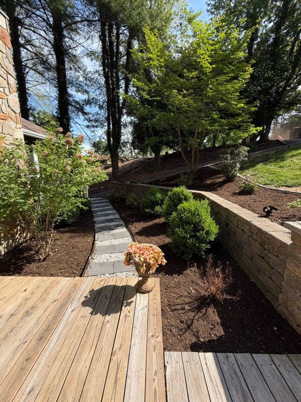 Landscape Design & Installation