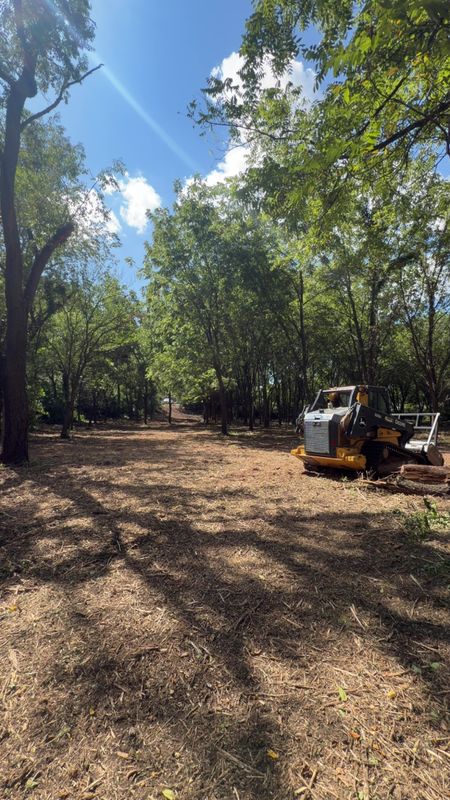 Timber Mulching & Clearing