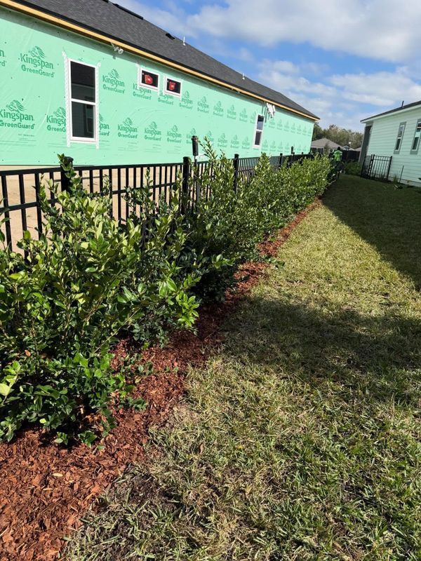 Shrub Trimming