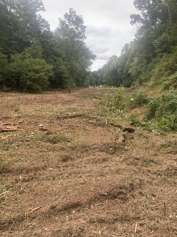 Land Clearing