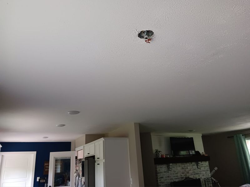 Subfloor repair and Beam Shoring