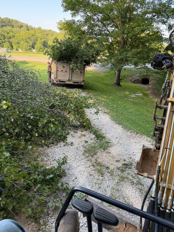 Tree Removal