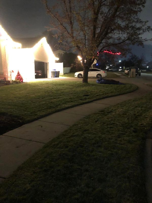 Lawn Care