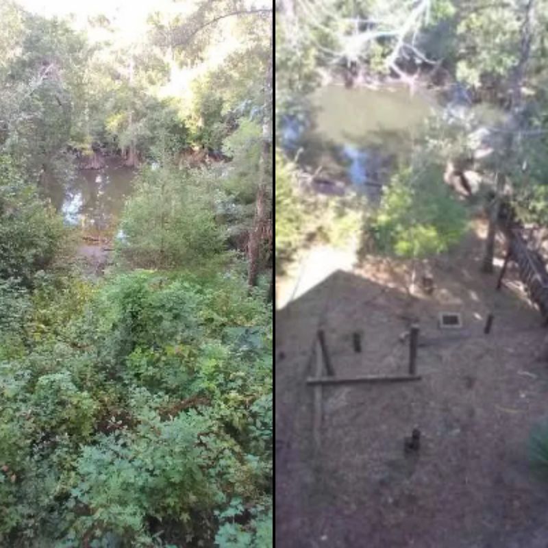 Before & Afters