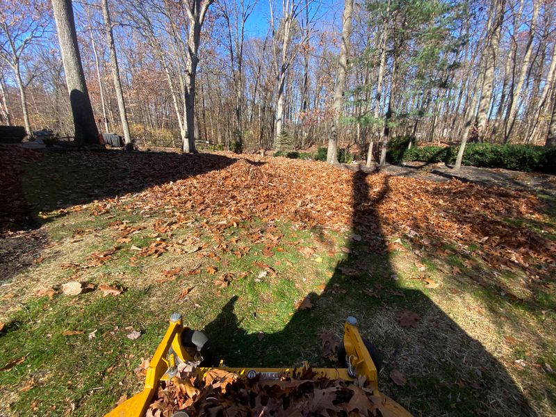 Fall cleanups