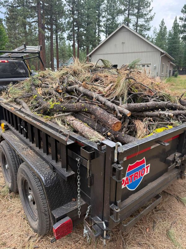 Junk Removal