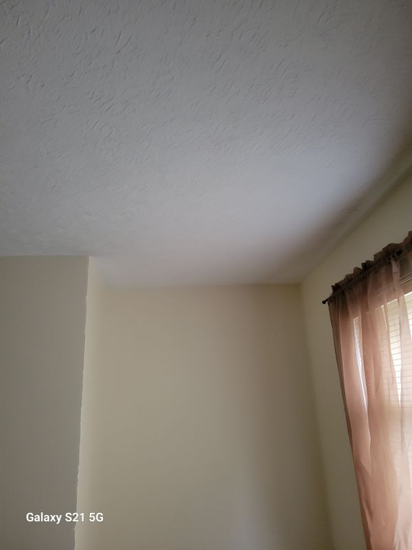 Drywall and Plastering